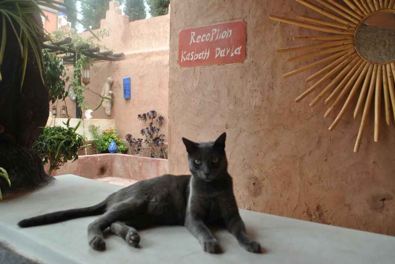 Auberge Kasbah Darla Таханнаут Екстер'єр фото